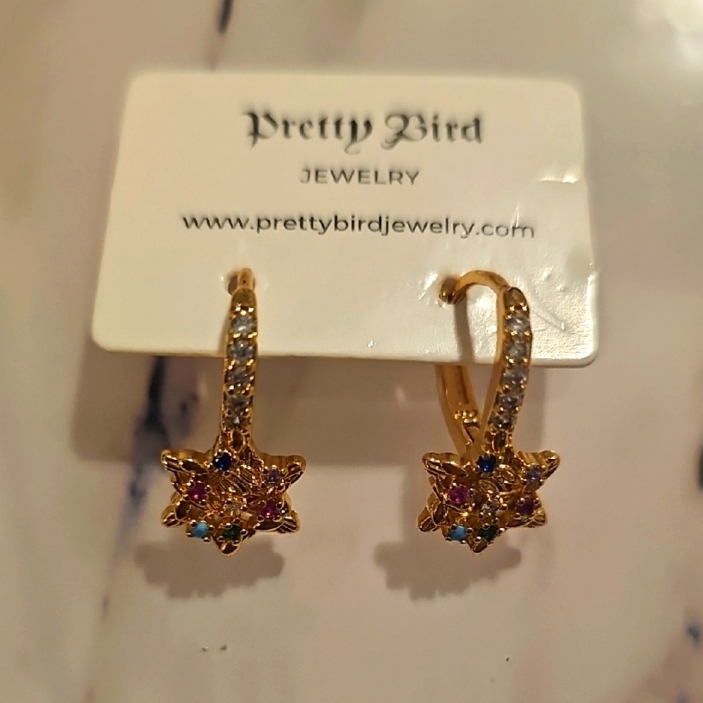 Pretty Bird Jewelry Gold Star Earrings